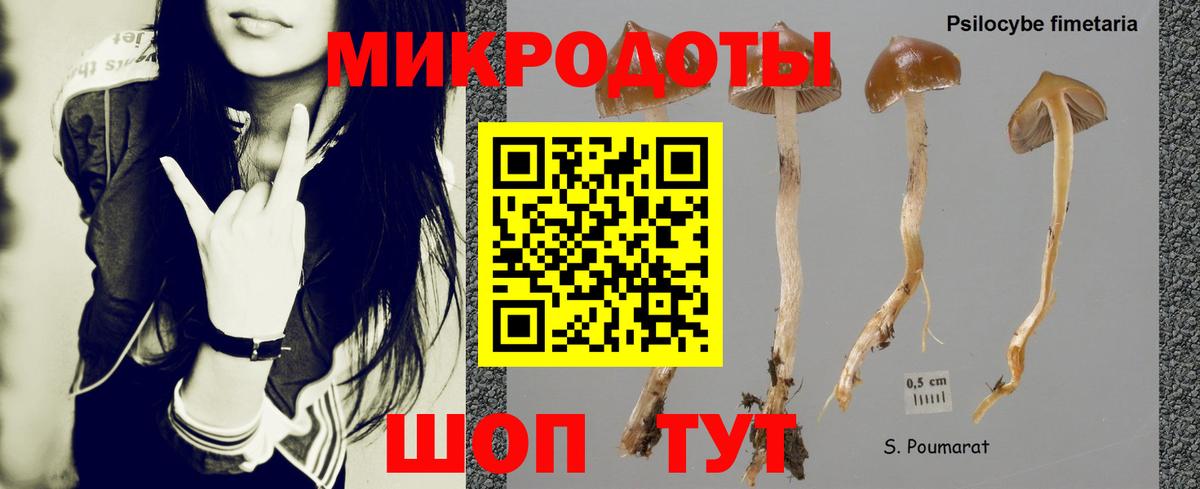 Псилоцибиновые грибы Magic Shrooms Гулькевичи